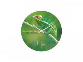 Часы настенные "Nicole Time" NT503 в Новосибирске - mebel-nsk.com | фото