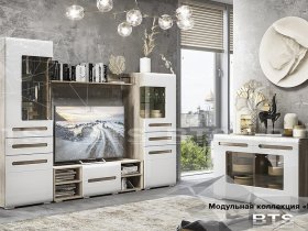 Модульная стенка  "Наоми" в Новосибирске - mebel-nsk.com | фото 3